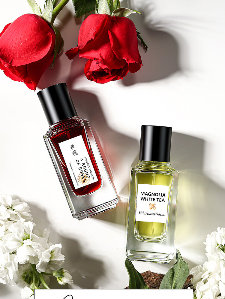 Rose Perfume - Red Rose, White Mongolia